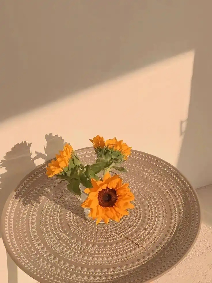 @zzcseo+2025最新蜘蛛池_数据处理优化套件_大内存版v88.24.39安卓版V41.49.79下载